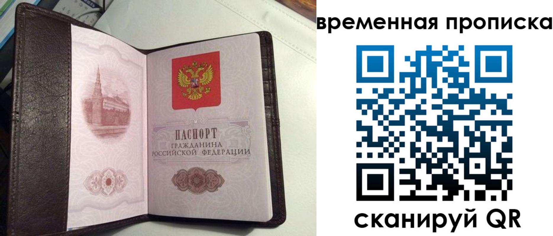 прописка 2025 в Лесном